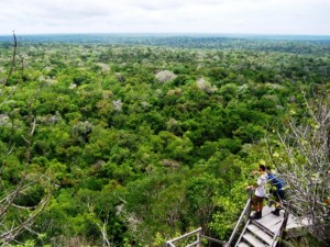 Las áreas protegidas de Guatemala marginan a los verdaderos protectores