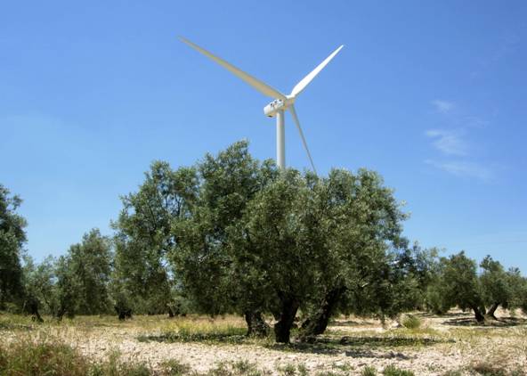 Energías renovables para generar empleo en Andalucía