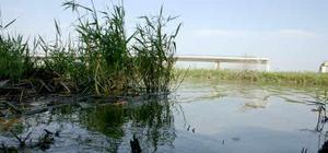 La Junta actúa en 30 puntos del cauce del Guadalete para prevenir inundaciones