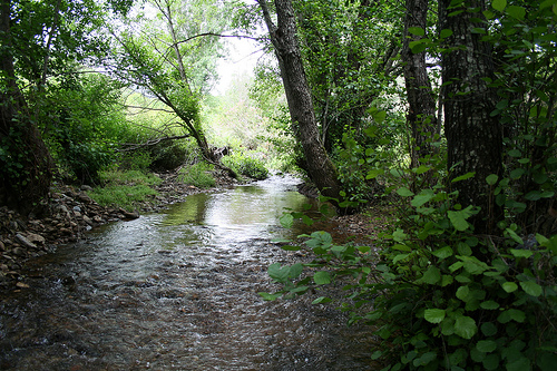 Junta subvenciona actuaciones forestales del Parque de Aracena y Picos de Aroche con 29 millones