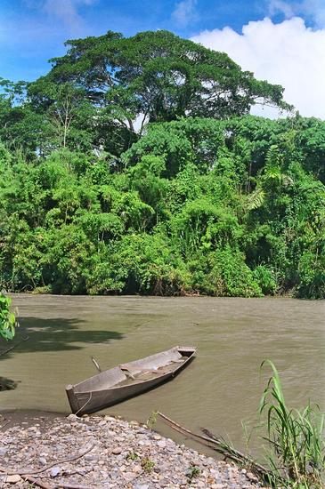 El hombre podría estar llevando la cuenca del Amazonas hacia una transición biofísica