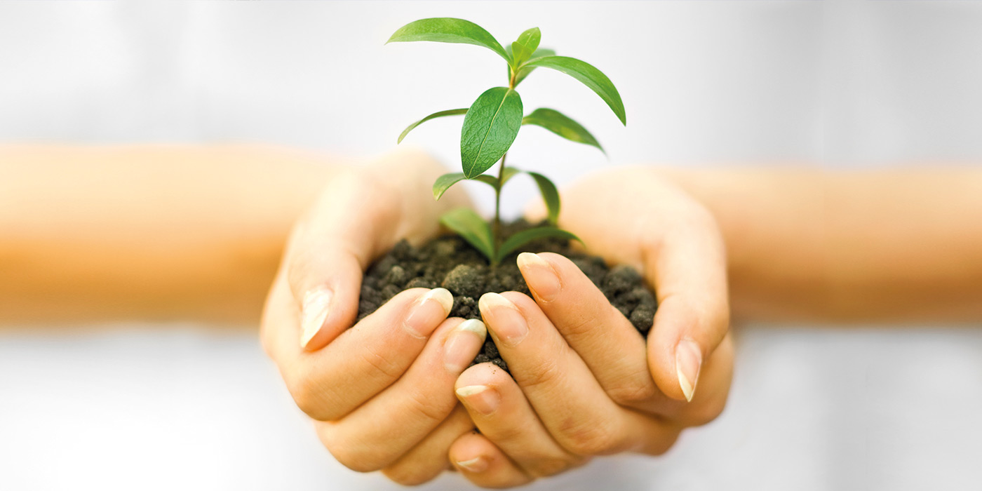 Tú puedes ser asesor medioambiental gracias a IUSC