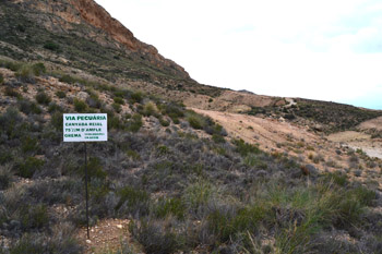 Instan a la inconstitucionalidad de la ley de vías pecuarias