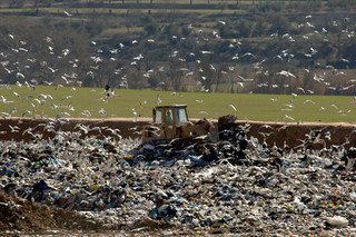 Europa sancionará a España por no cerrar 63 vertederos incontrolados