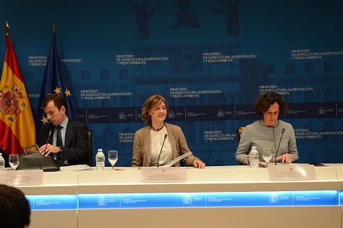 Vamos hacia un nuevo modelo de desarrollo económico