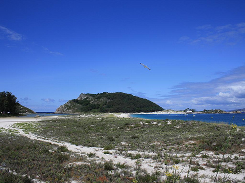 Un estudio analiza los efectos de los cambios climáticos naturales en el Parque de las Islas Atlánticas
