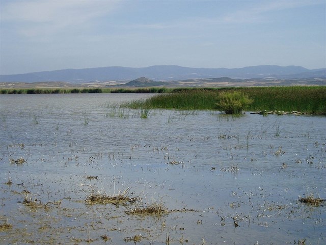 Navarra. La Laguna de Pitillas
