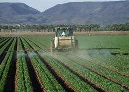 La exposición al pesticida DDT