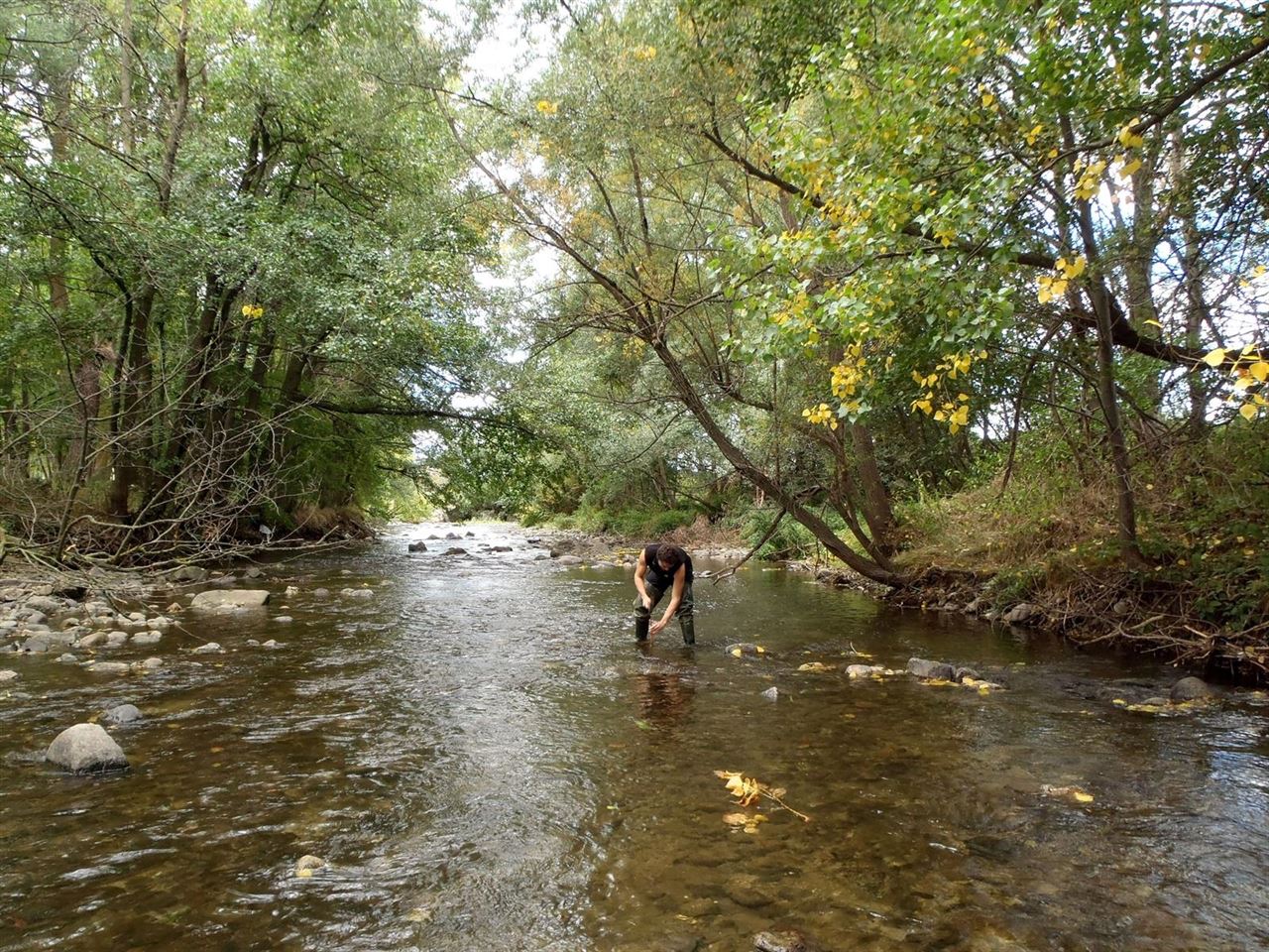 Castilla – La Mancha ‘limita’ la pesca nocturna