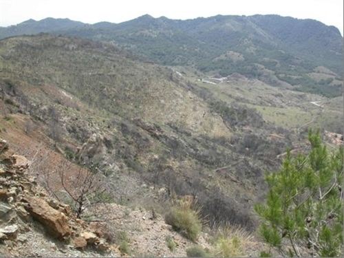 Murcia. La Comunidad ejecutará la restauración vegetal en el Parque Regional de Calblanque afectada por el incendio de Atamaría