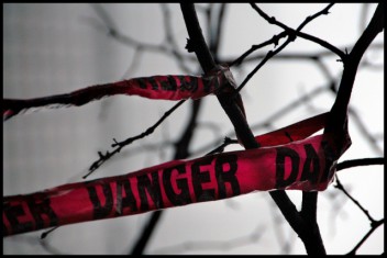 Brasil. Comunidades forestales se ven atadas ante la burocracia estatal