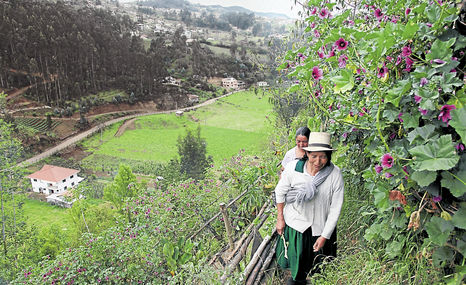 25 familias de Guapán se adaptan al cambio climático