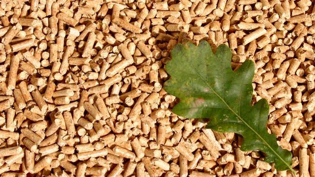 Curso de Energía de la Biomasa