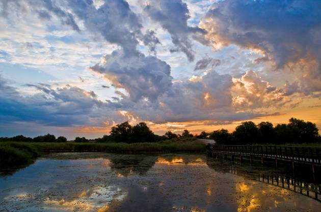 Las Tablas de Daimiel rebosan agua por primera vez en casi 30 años