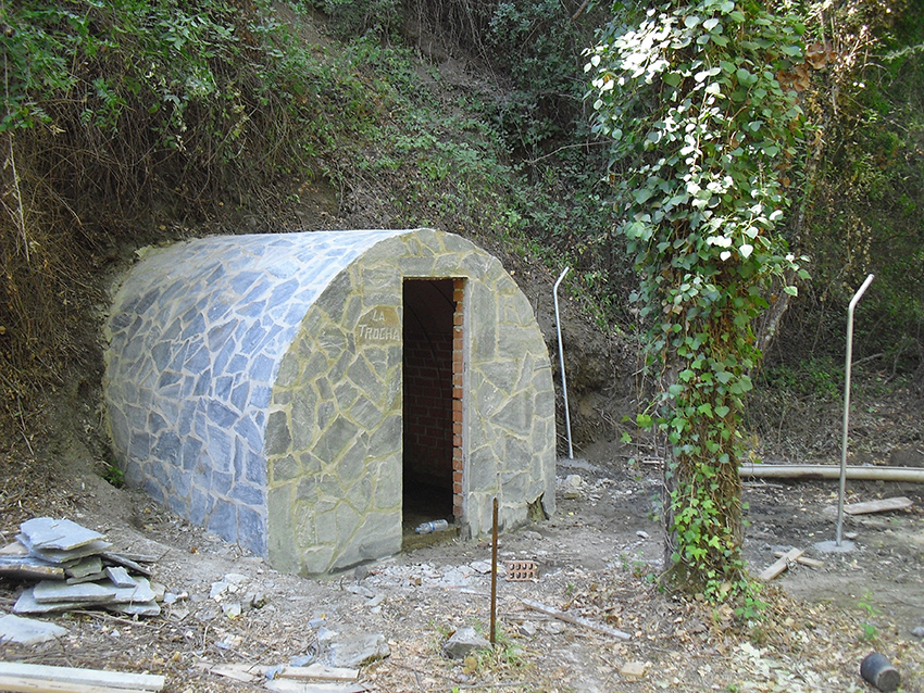 El caracol desaparecido de España fue eliminado por unas obras ilegales en Genalguacil