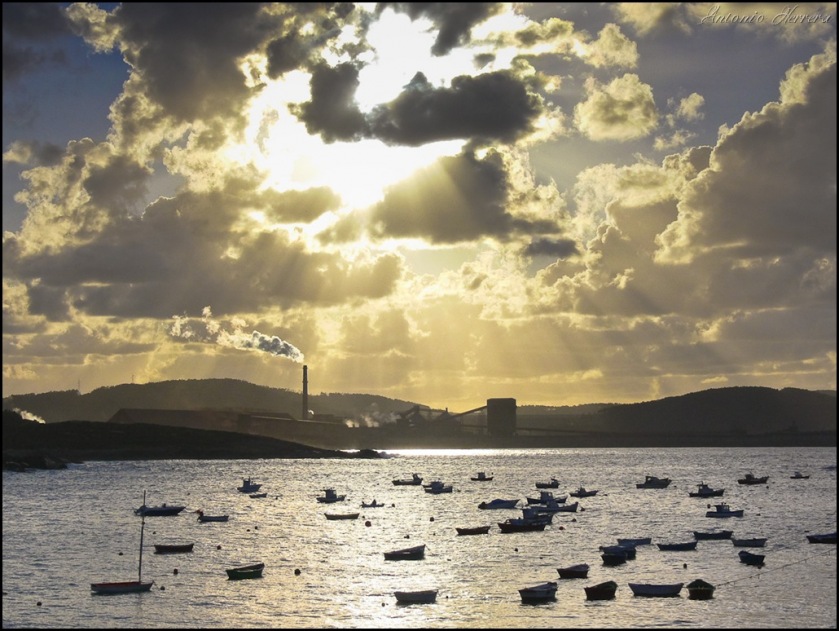 Crisis afecta negociaciones sobre el clima