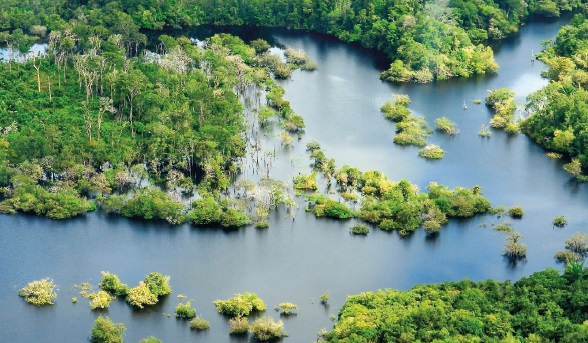 El PNUMA implementa el Principio 10 de la Declaración de Río