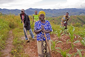 Frente al calentamiento global la agricultura es clave para la seguridad alimentaria en el Caribe