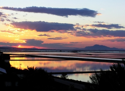 Más de 5.000 plantas de especies autóctonas restauran la superficie del Parque de las Salinas y Arenales de San Pedro