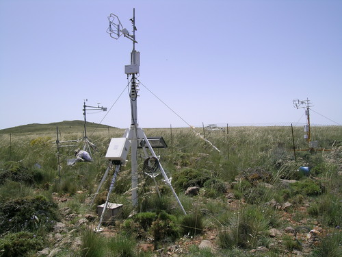 Las lluvias escasas aumentan la liberación de CO2 a la atmósfera en los ecosistemas semiáridos