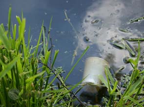 Plasco to market waste-to-energy tech with $ 270 million in hand