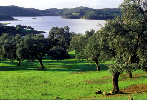 Sevilla. El Parque Natural Sierra Norte consolida su certificación de calidad en la gestión ambiental