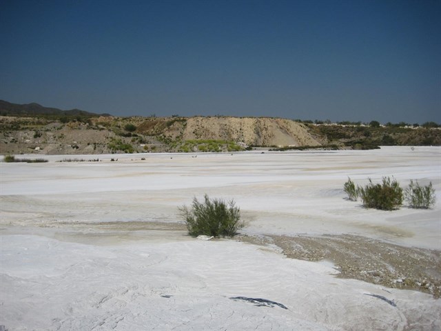 Logran regenerar suelos contaminados y recuperar su vegetación con lodos de mármol