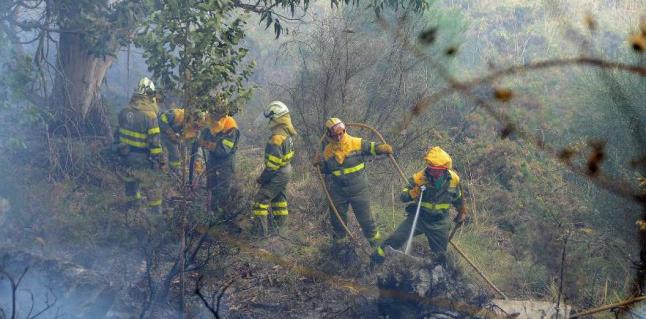 Dos detenidos por un incendio en Cangas (Pontevedra)