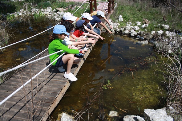 GREFA lanza una web dedicada a la educación ambiental