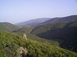 OSE cree que el cambio climático causará extinciones de especies en Sierra Morena y la Sierra de Cádiz