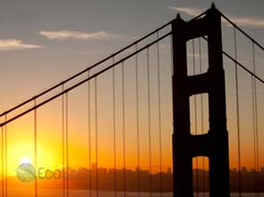 U.S. solar market posts record growth