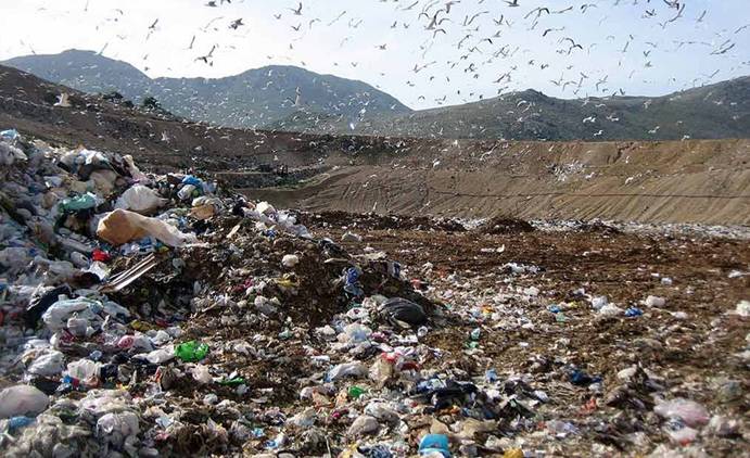 La mafia pone el ‘ojo’ en el medio ambiente por la ‘impunidad’ legal