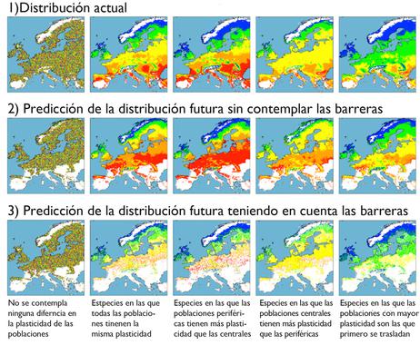 El cambio climático podría reducir ‘drásticamente’ el área de distribución de los seres vivos