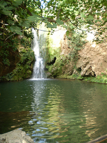Medio Ambiente promueve la Red de Voluntarios Ambientales del Parque Natural Sierra Norte de Sevilla