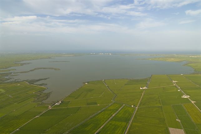 Las olas están acabando con los humedales costeros