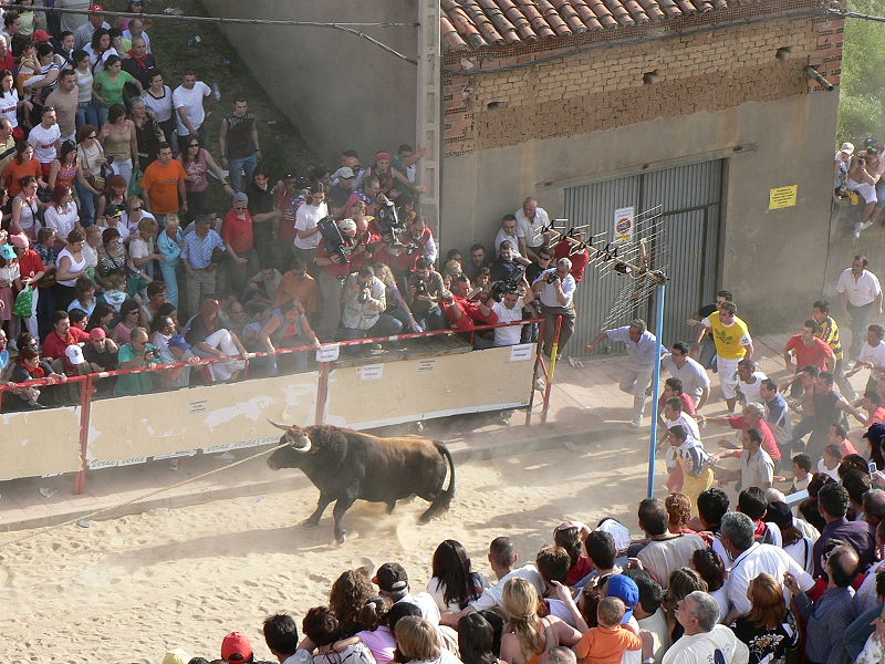 Primera protesta contra el Toro Enmaromado de Benavente