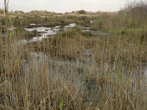 San Lucas de Barrameda