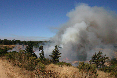 El fuego en Las Hurdes prácticamente controlado (Extremadura)
