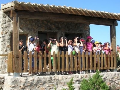 Campamentos semana santa 2012 de SEO/BirdLife