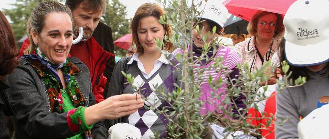 Castillo destaca el valor de las masas forestales para la sostenibilidad y la lucha contra el cambio climático
