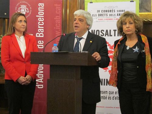 El TC probablemente mantendrá la prohibición taurina en Cataluña