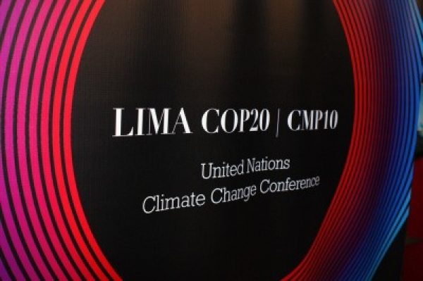 COP 20 busca conseguir un acuerdo vinculante en París en 2015