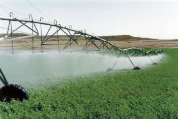 El maíz o la remolacha los cultivos que han disminuido el consumo de agua por unidad de producción