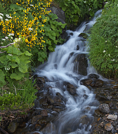 El MARM organiza este fin de semana actividades al aire libre