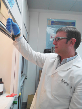 Revolucionario plástico extraído de la madera