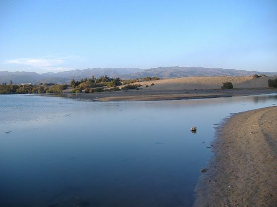 El oxígeno de La Charca de Maspalomas