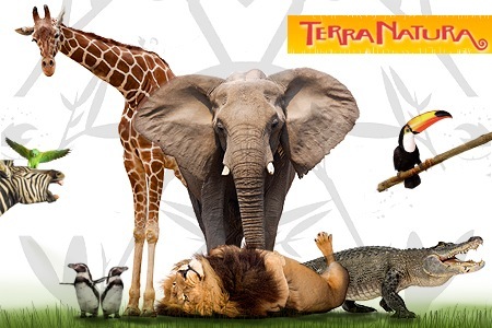 Parque Terra Natura Murcia pone en marcha este verano como novedad la Escuela de Verano