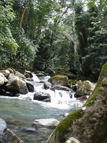 Patrimonio natural del Caribe hondureño en la cuerda floja