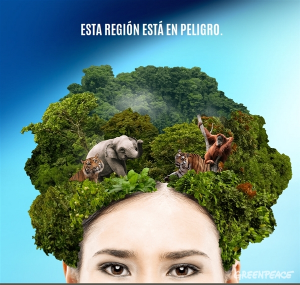 H&S el champú que deforesta el amazonas