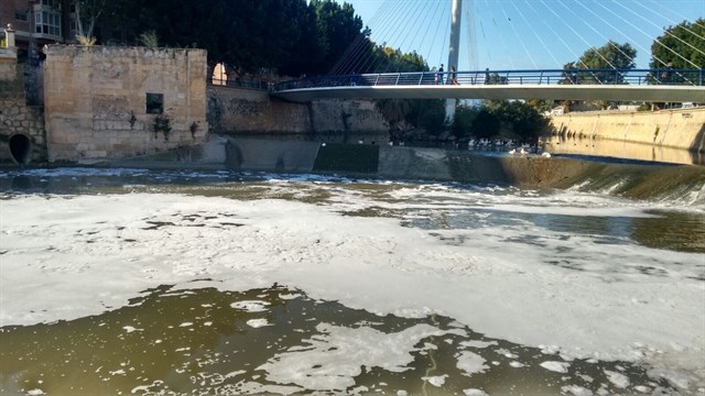Ecologistas presenta de nuevo una denuncia ante la CHS por la espuma y presencia de peces muertos en el río Segura